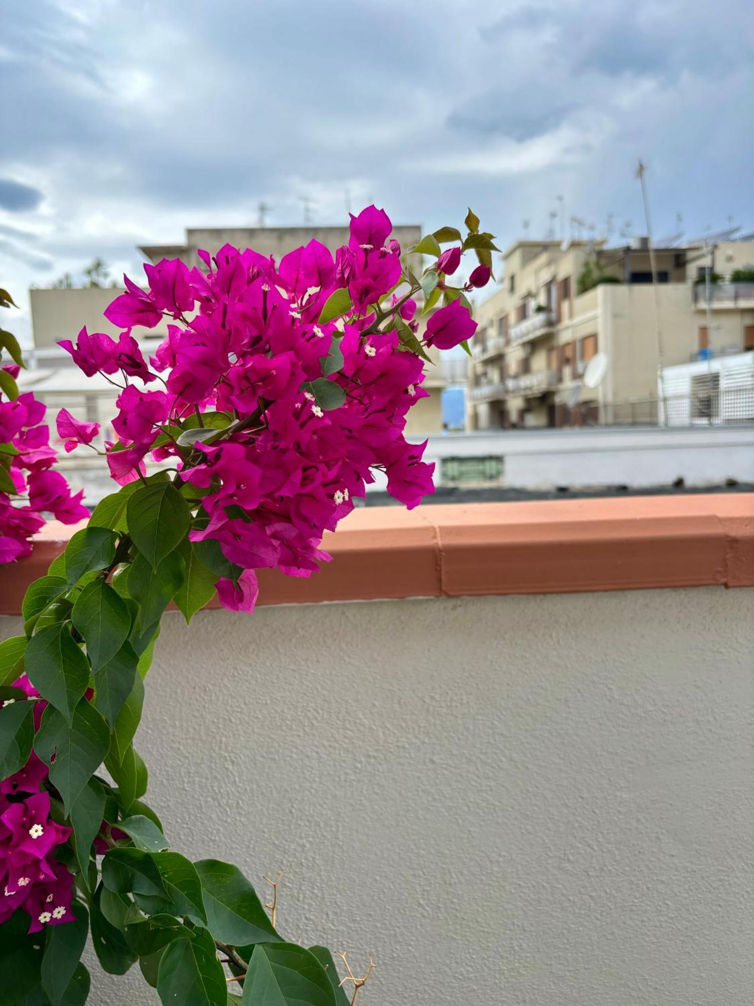 Strettomare-Business & Travel Apartment Reggio di Calabria Eksteriør billede